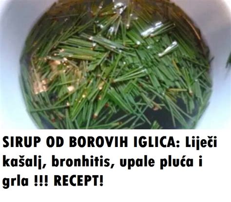 SIRUP OD BOROVIH IGLICA Ukusna Hrana