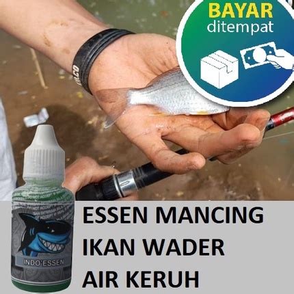 Jual Essen Mancing Ikan Wader Di Air Keruh Ml Shopee Indonesia