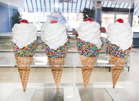 denville animal hospital new jersey 5