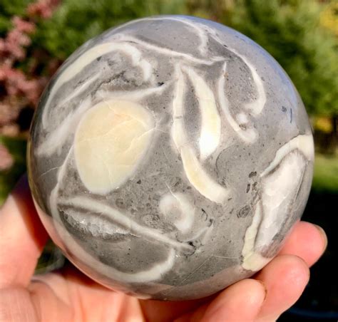 88mm Thousand Eyes Stone Aka Shellstone Jasper Sphere Orb Ball Mineral