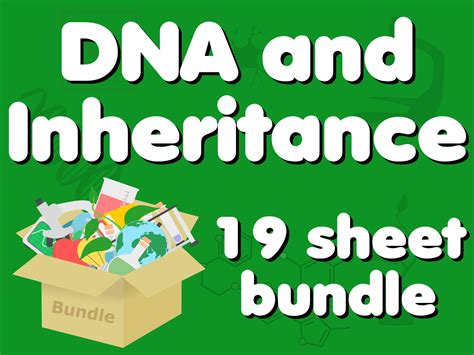 19 Sheet DNA And Inheritance GCSE Homework Bundle Teaching Resources