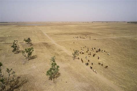 Au Mali Civils Tu S Par Des Hommes Arm S Dans Le Centre