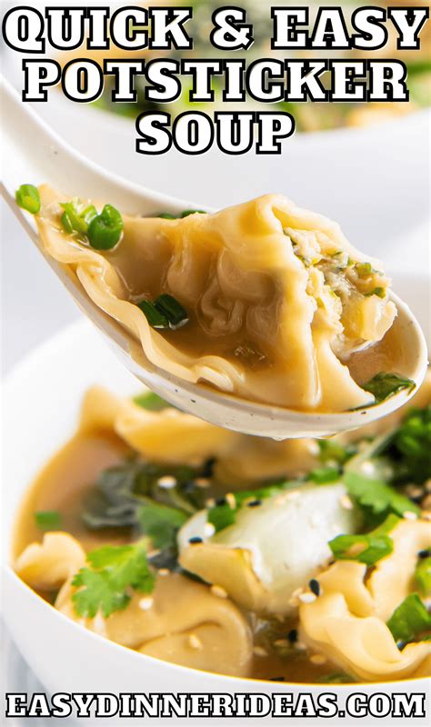 Potsticker Soup Easy Dinner Ideas