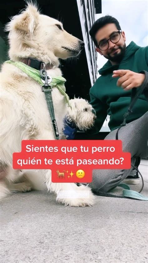 Thepol On Instagram Hay Dos Estados De Debes Tener En Cuenta A La Hora