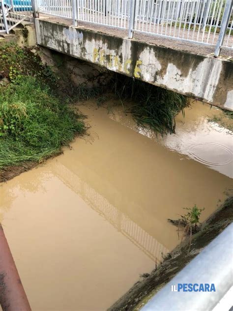 Fosso Vallelunga A Rischio Esondazione L Allarme Di Una Cittadina Foto