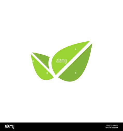 Leaf Graphic Design Template Vector Isolated Illustration Stock Vector