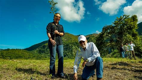 Medio Ambiente Junto A Fundación Sur Futuro Inician “mes De La Reforestación” Con Meta De