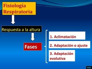 APARATO RESPIRATORIO EFECTOS DE LA ALTURA PPT