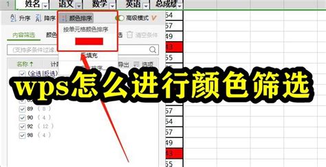 WPS怎么进行颜色筛选WPSOffice表格颜色筛选方法 纯净之家