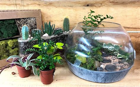 Terrarium Workshop A Fun Make Take Reems Creek Nursery