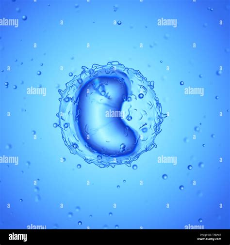 Monocyte Hi Res Stock Photography And Images Alamy