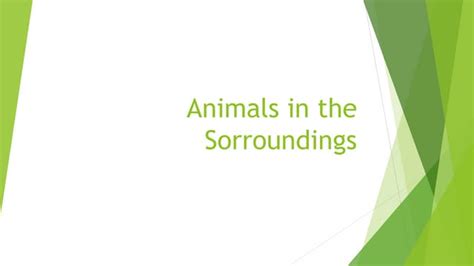 2nd Lesson 4 Animals In The Sorroundingspptx