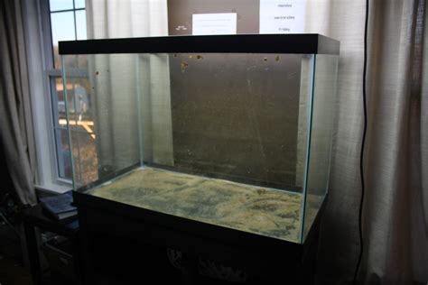 Used Gallon Glass Aquarium For Sale For Sale Or Trade Aquatic