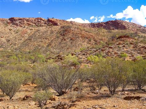 Australian Outback Landscape Bush Vegetation In Dry Season With Red