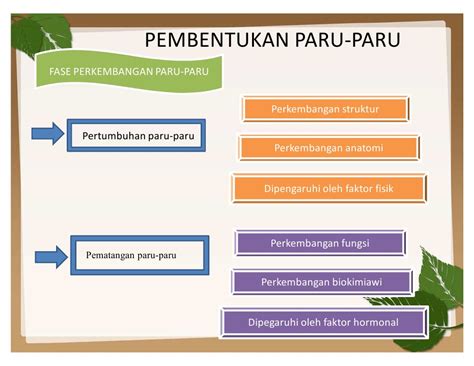 PDF PEMBENTUKAN PARU PARU DOKUMEN TIPS