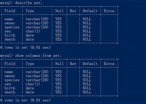 정보의 Mysql 데이터베이스 쿼리 및 테이블 코드 세계