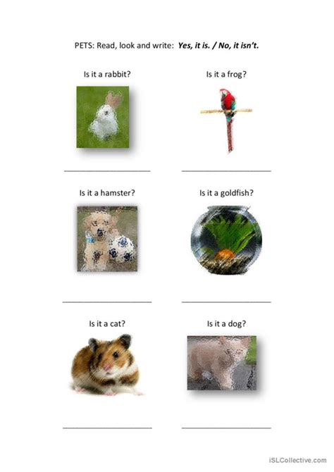 Vocabulary Pets Grammar Exercises W English Esl Worksheets Pdf And Doc