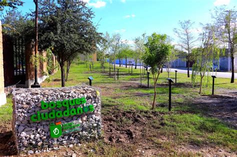 Inaugura Ambiente Arboretum Nuevo Leon Times