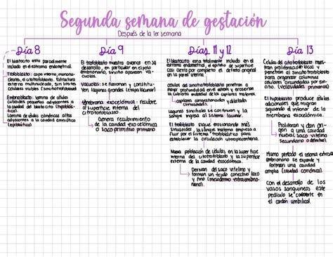 Segunda y tercera semana de gestación GABRIELA GISEL VIDAURRI