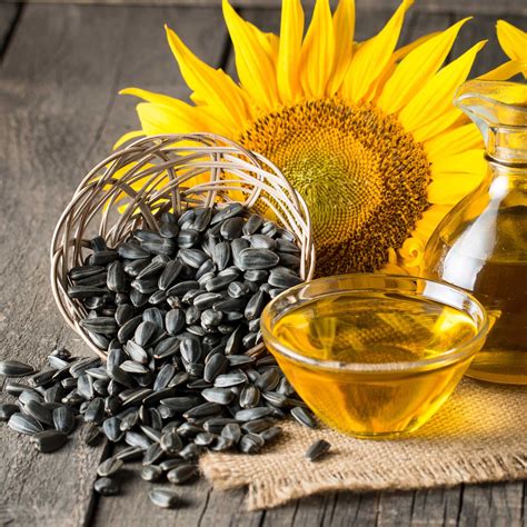 Bulk Sunflower Seeds - Black Oil Microgreen | Bulk Wildflowers