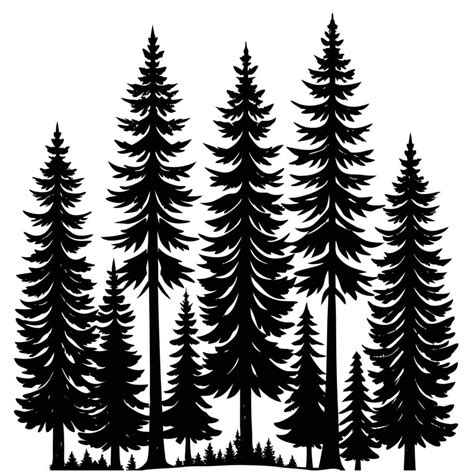 Tall Evergreens In Dense Forest Silhouette 47491262 Vector Art At Vecteezy