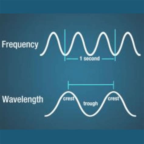 Electromagnetic Waves Clearias