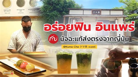 บุญต่อบุญ ร้าน Kuma Cha クマ茶 ตัวจริงเรื่องมัจฉะ จแพร่ Youtube