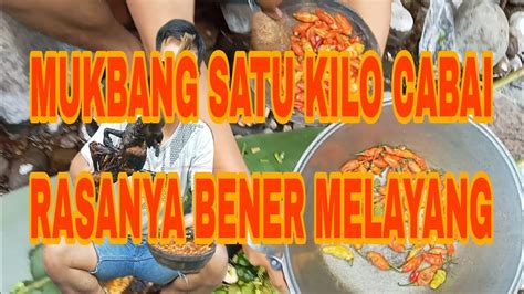 Satu Ekor Uth Babi Kw Dan Satu Kilo Cabai Endolito Di Bikin Beneran