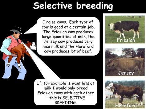 Heredity Inheritance and Variation