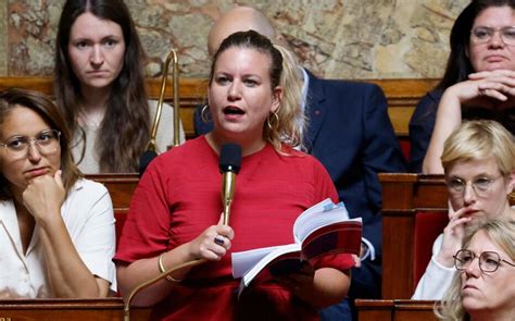 Assemblée Nationale Mathilde Panot Traitée De Poissonnière Par Un Député Rn Lfi Réclame