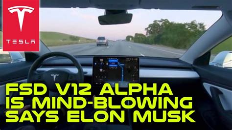 Tesla FSD V12 Alpha Is Mind Blowing Says Elon Musk YouTube