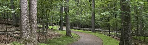 Magruder Branch Trail Map Guide Maryland AllTrails