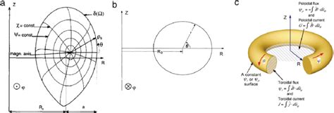 Examples Of Cylindrical And Poloidal Coordinate Systems A Chease 5 Download Scientific