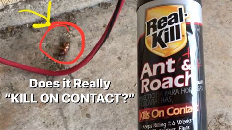 Real Kill Ant And Roach Insect Killer Aerosol Spray 43 OFF