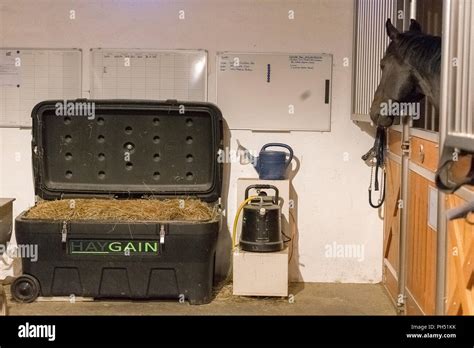 Hay steamer in a horse stable. Germany Stock Photo - Alamy