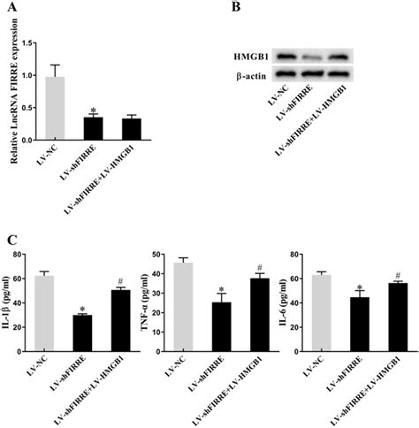 FIRRE Knockdown Attenuated The Secretion Of Microglial Cells Derived