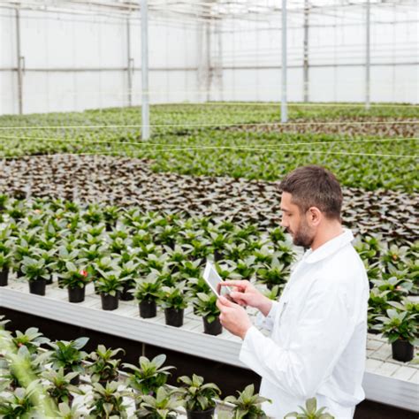 The Future Of Agriculture Key Trends In Indoor Farming Technology