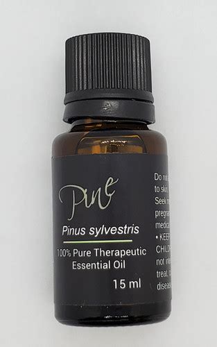 Pine Essential Oil | Natural Concepts