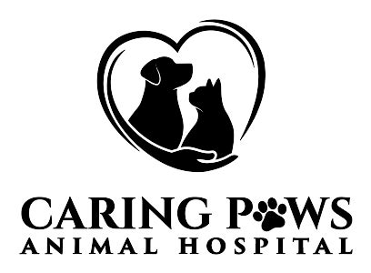 Odessa, FL Veterinarian | Caring Paws Animal Hospital