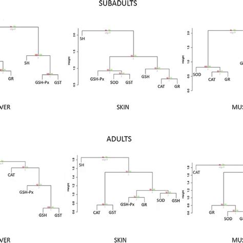 Dendrogram Generated By Cluster Analysis Unweighted Pair Group Method