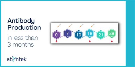 Antibody Production In Less Than 3 Months Abyntek