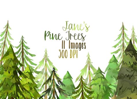 Watercolor Pine Trees Clipart Illustrations ~ Creative Market