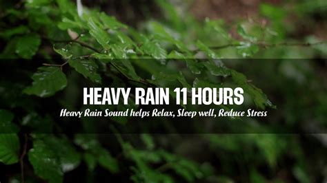 heavy rain  hours  relaxing  heavy rain sound helps relax