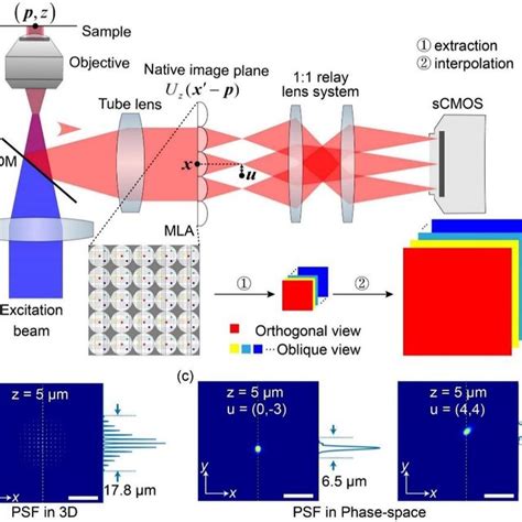 PDF Phase Space Deconvolution For Light Field Microscopy