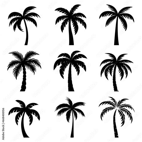 Flat Vector Cartoon Black And White Palm Trees Palm Tree Silhouette