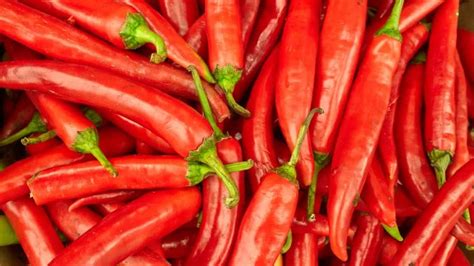 Weird Things Linked To Living Longer Stuffed Peppers Red Chili