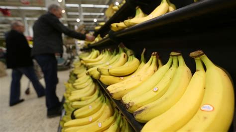 Ecuador Seeking To Lower Banana Import Tariffs In Asia Eurofresh