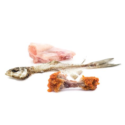 Raw Or Cooked Meat And Fish Including Bones Recycle For Greater