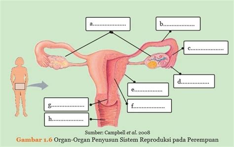 Soal Dan Kunci Jawaban Ipa Kelas 9 Smp Halaman 15 16 Ayo Kita Lakukan