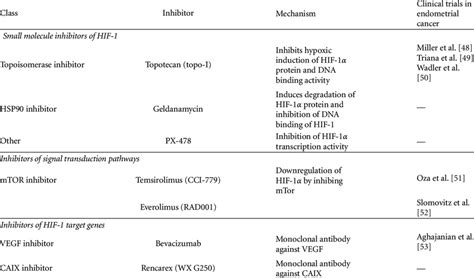 Clinical trials on HIF-1α targeted therapies in endometrial cancer ...